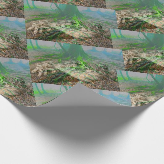 Frosch Geschenkpapier (Ecke)