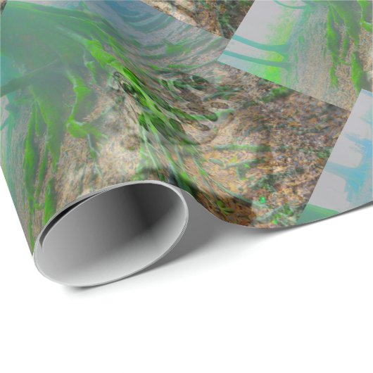 Frosch Geschenkpapier (Rolleneckpunkt)