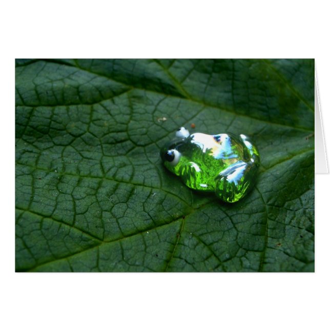 Frosch Green (Vorderseite (Horizontal))