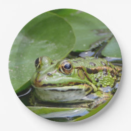 Frosch Green Lily Pad Foto Pappteller
