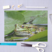 Frosch Green Lily Pad Foto Seidenpapier (Handwerk)