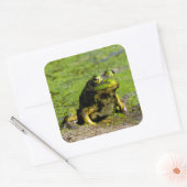 Frosch Große Stickers (Umschlag)