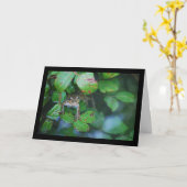 Frosch im blätterreichen Teich Karte (Gelbe Blume)