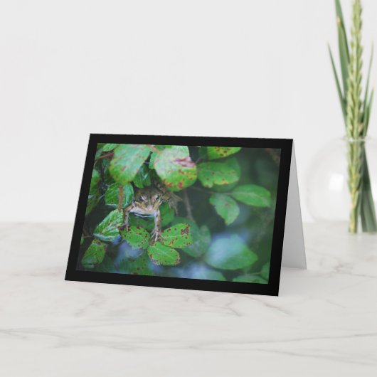 Frosch im blätterreichen Teich Karte (Vorderseite)