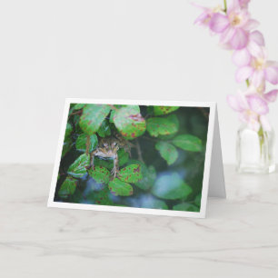 Frosch im Blattreichen Teichporträt Karte