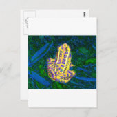 Frosch im Gras Postkarte (Vorne/Hinten)