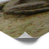 Frosch im Mud Poster (Ecke)