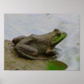 Frosch im Mud Poster (Vorne)