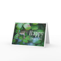 Frosch im Portrait des Leafy Pond