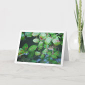 Frosch im Portrait des Sees Karte (Vorderseite)