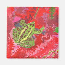 Frosch im roten Zahnriegel Magnet