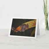 Frosch im Teich-Portrait Karte (Vorderseite)
