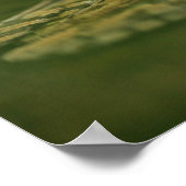 Frosch im Wasser Poster (Ecke)