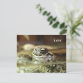 Frosch im Wasser Postkarte (Stehend Vorderseite)