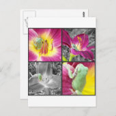 Frosch in Blume Collage Postkarte (Vorne/Hinten)