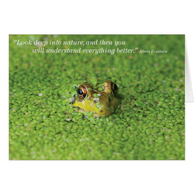 Frosch in den grünen Algen (Vorderseite (Horizontal))