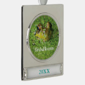 Frosch in den grünen Algen Banner-Ornament Silber (Rechts)