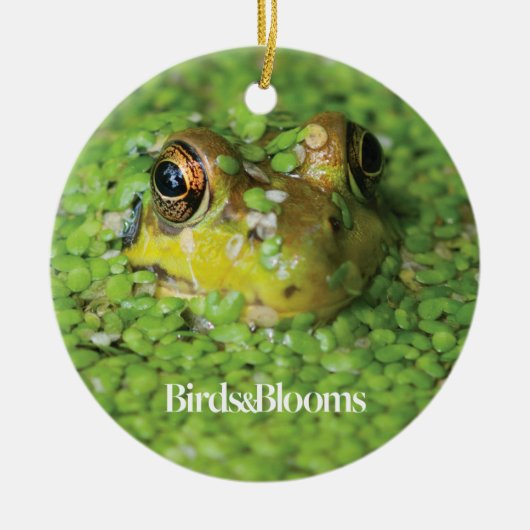 Frosch in den grünen Algen Keramik Ornament (Vorne)