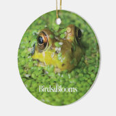 Frosch in den grünen Algen Keramik Ornament (Links)