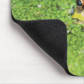 Frosch in den grünen Algen Mousepad (Ecke)