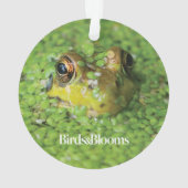 Frosch in den grünen Algen Ornament (Rückseite)