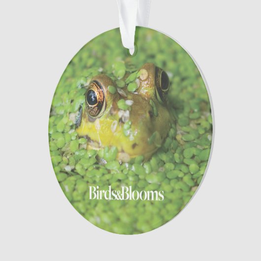 Frosch in den grünen Algen Ornament (Vorderseite)