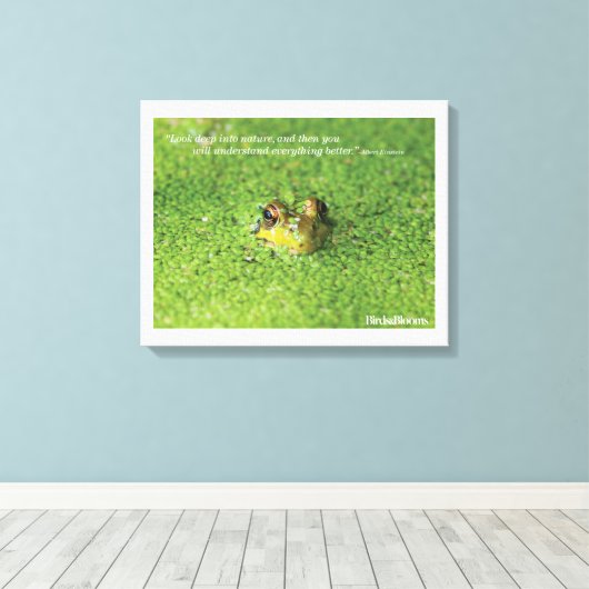 Frosch in der grünen Alge Leinwanddruck (Insitu (Holzboden))