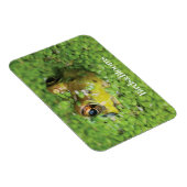 Frosch in der grünen Alge Magnet (Rechte Seite)