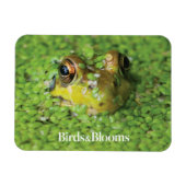 Frosch in der grünen Alge Magnet (Horizontal)