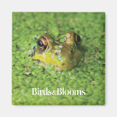 Frosch in der grünen Alge Magnet (Vorne)