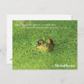 Frosch in der grünen Alge Postkarte (Vorne/Hinten)