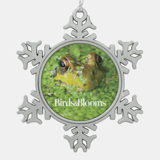 Frosch in der grünen Alge Schneeflocken Zinn-Ornament (Vorderseite)