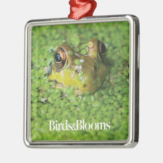 Frosch in der grünen Alge Silbernes Ornament (Links)