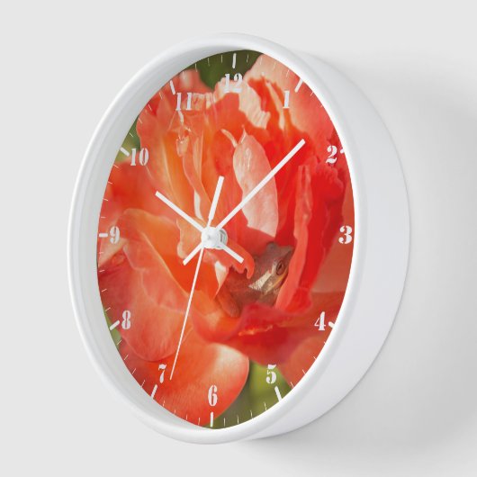 Frosch in der rote Rose Uhr (Winkel)