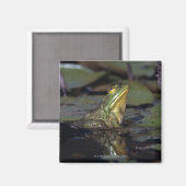 Frosch in einem Teich Magnet (Vorderseite/Rückseite)