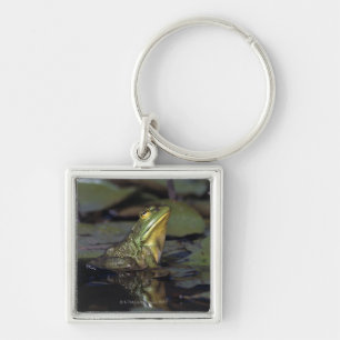 Frosch in einem Teich Schlüsselanhänger