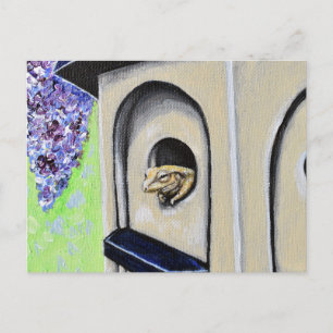 Frosch in einer Birdhouse-Malerei Postcard Postkarte