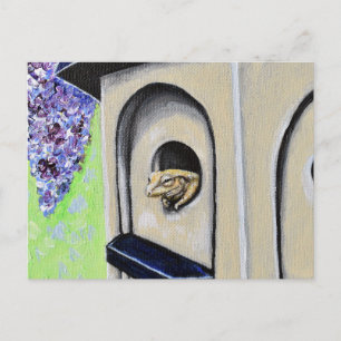 Frosch in einer Birdhouse-Malerei Postcard Postkarte