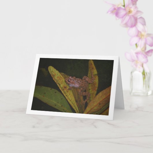 Frosch in Pond Portrait Karte (Orchidee)