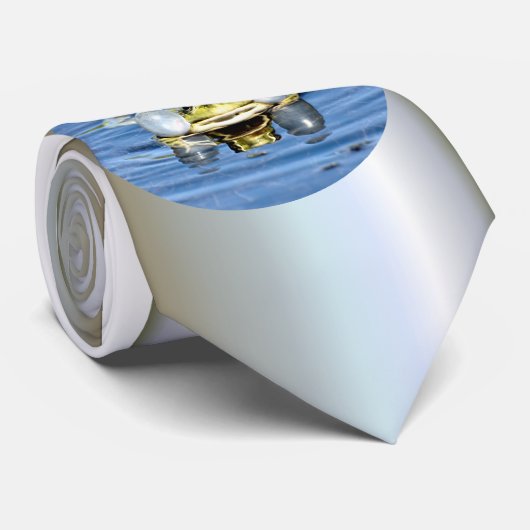 Frosch in Wasser mit Luftsaure Krawatte (Gerollt)