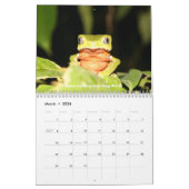 Frosch-Kalender Kalender (Mär 2026)