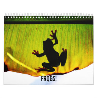 Frosch-Kalender Kalender