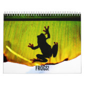 Frosch-Kalender Kalender (Titelbild)
