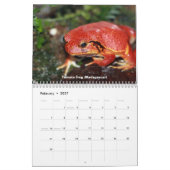 Frosch-Kalender Kalender (Feb 2027)