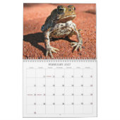 Frosch-Kalender Kalender (Feb 2027)