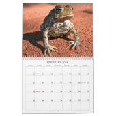 Frosch-Kalender Kalender (Feb 2026)
