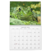 Frosch-Kalender Kalender (Jan 2026)