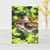 FROSCH KARTE (Gelbe Blume)