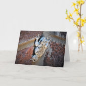 Frosch, Karte (Gelbe Blume)