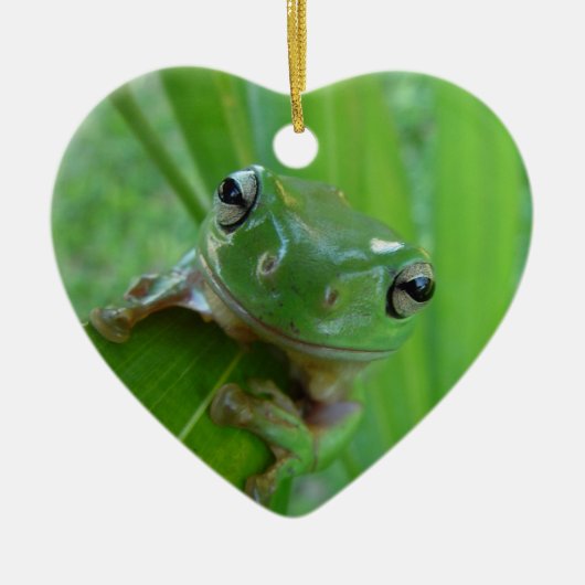Frosch Keramik Ornament (Vorne)